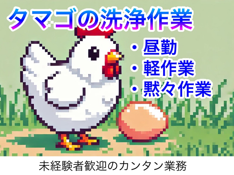 日勤のみ｜食品工場にてタマゴの洗浄業務などの軽作業｜週休二日制、未経験OK イメージ